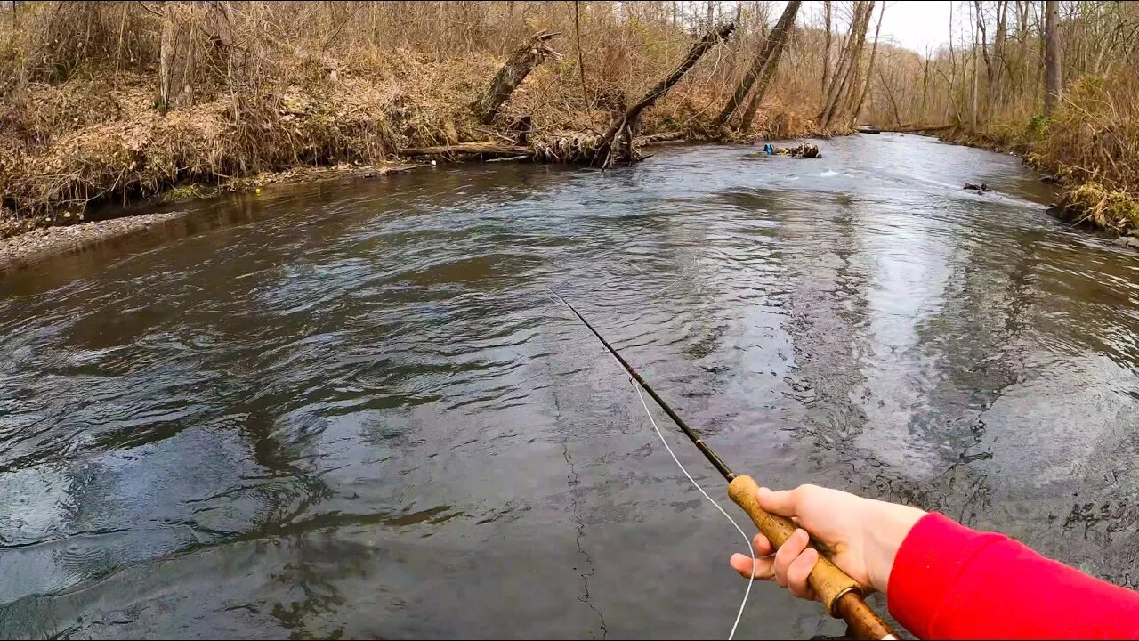 Streamer Fishing for BIG TROUT!! Creek Fishing Chaos (New PB??)