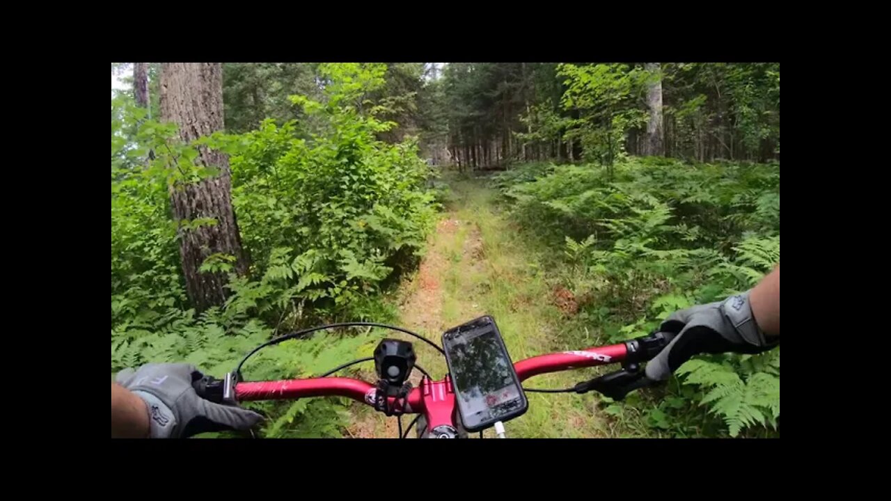 Grand Island Trail Single Track ( Fatback Rhino )