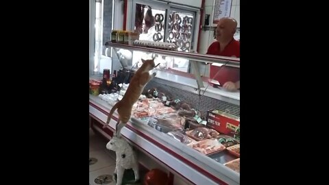 can I taste this , I’ll try a little bit of everything if you don’t mind