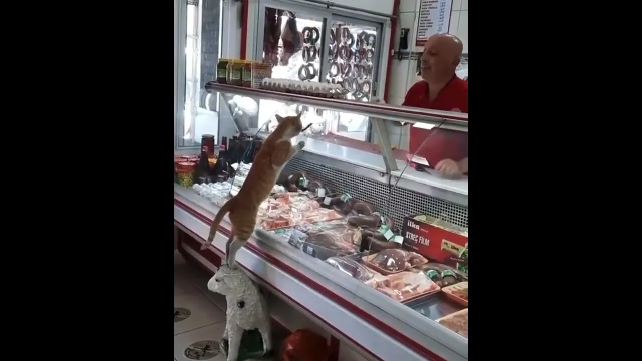 can I taste this , I’ll try a little bit of everything if you don’t mind