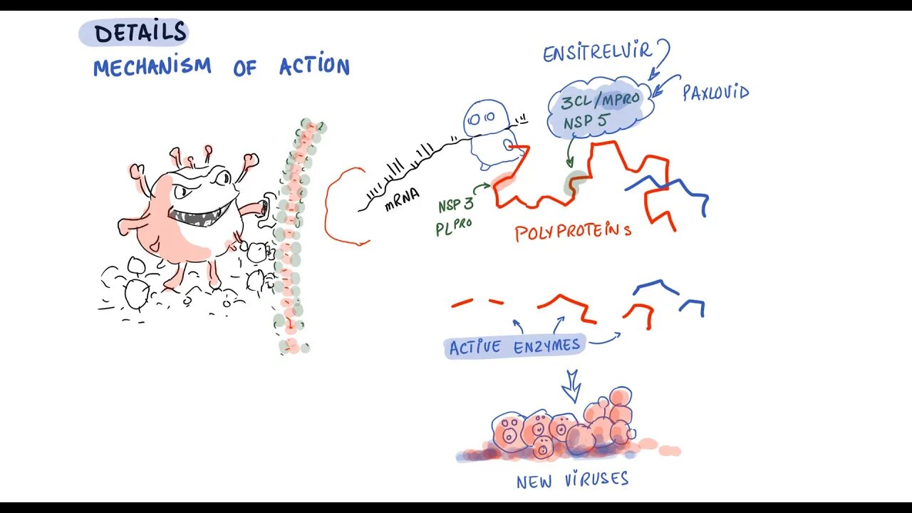 New Oral COVID-19 Drug From Japan (S-217622)