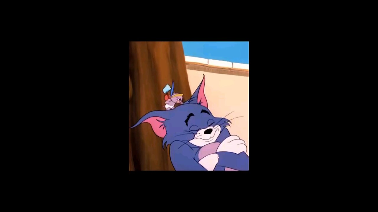 Tom And Jerry Show