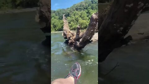 🔴 Life Is An Adventure / La Vida Es Una Aventura 💪🏻 #shorts #youtubeshorts #adventure
