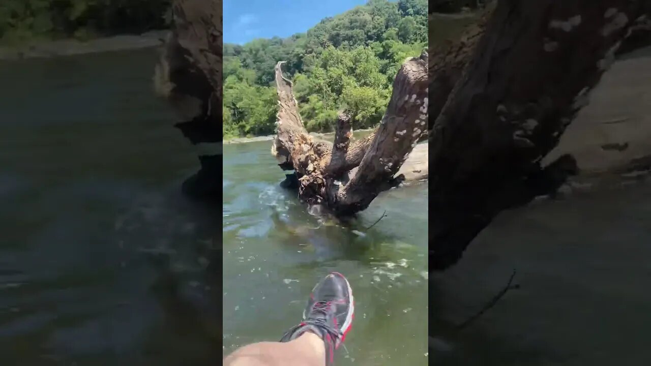 🔴 Life Is An Adventure / La Vida Es Una Aventura 💪🏻 #shorts #youtubeshorts #adventure