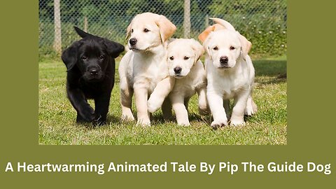 A Heartwarming Animated Tale by Pip the Guide Dog