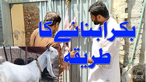 Mutton Cutting Skills | by Haji Waseem | bakra banane ka tarika| بکرا بنانے کا طریقہ