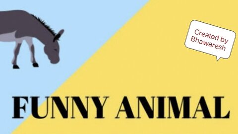 Funny Animals