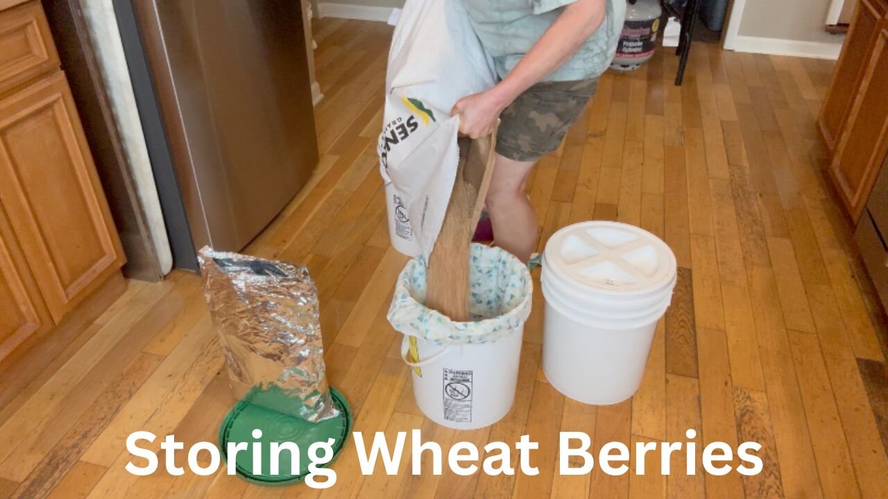 How to Store Wheat Berries