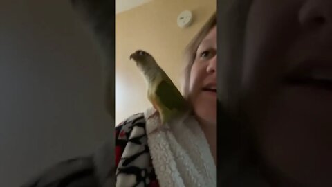 Dancing Bird