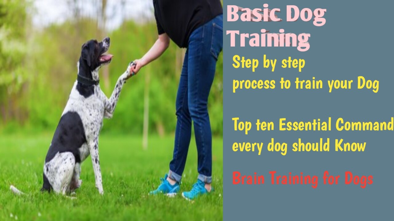 Train your Dog with ten easy commands. Simple step by step process