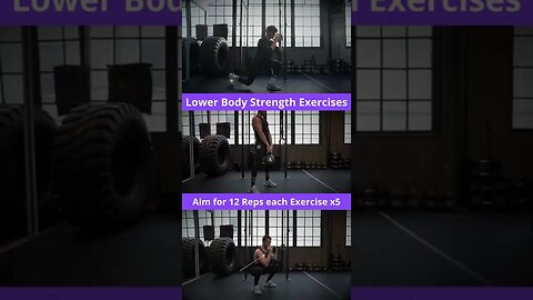 Lower Body Strength Exercises