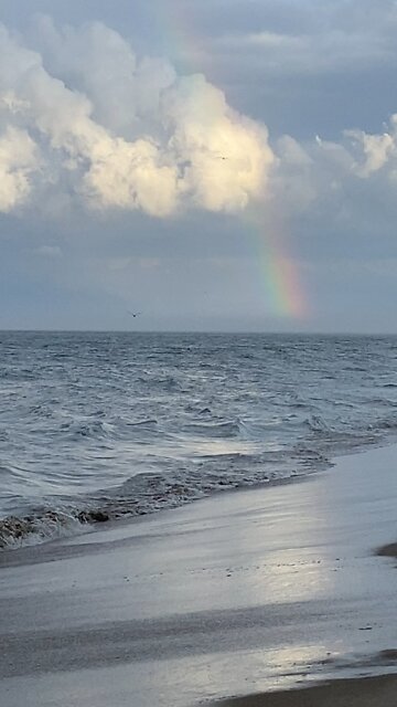 Ocean Rainbow