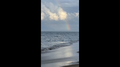 Ocean Rainbow