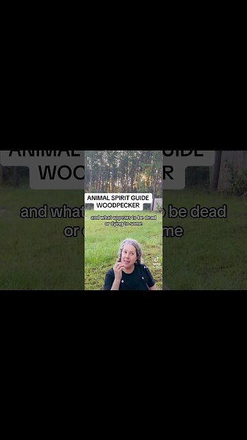 ANIMAL SPIRIT GUIDE MESSAGE 💰WOODPECKER # shortsfeed #goodvibes #affirmations #spiritualawakening