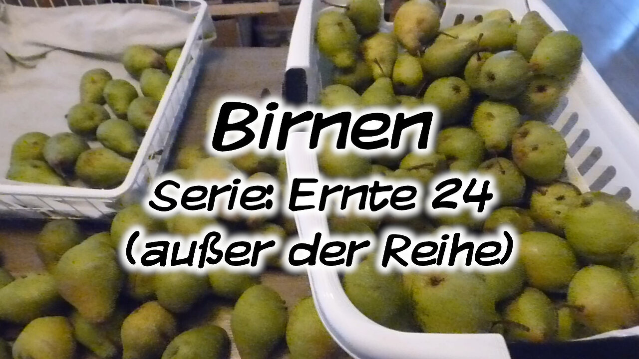 Mach's Dir. Selbst. - Birnen (Serie: Ernte 24, außer der Reihe)