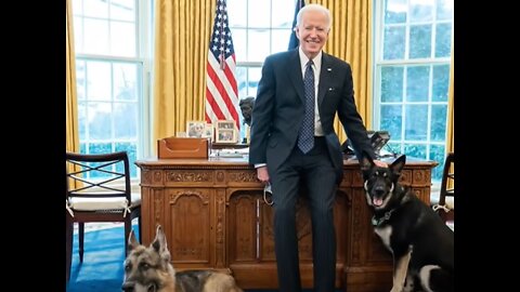 Secret Service Agents Expose Details About Biden’s Dog Biting Them