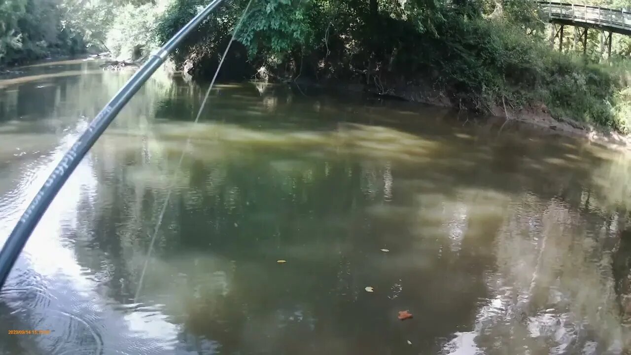 Fishing Adventure 9/14/23: Catfish and shiners love muddy water