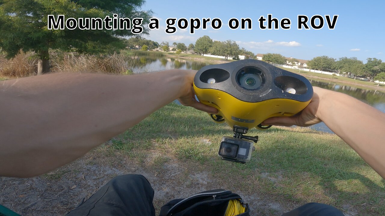 Exploring a Florida Retention Pond