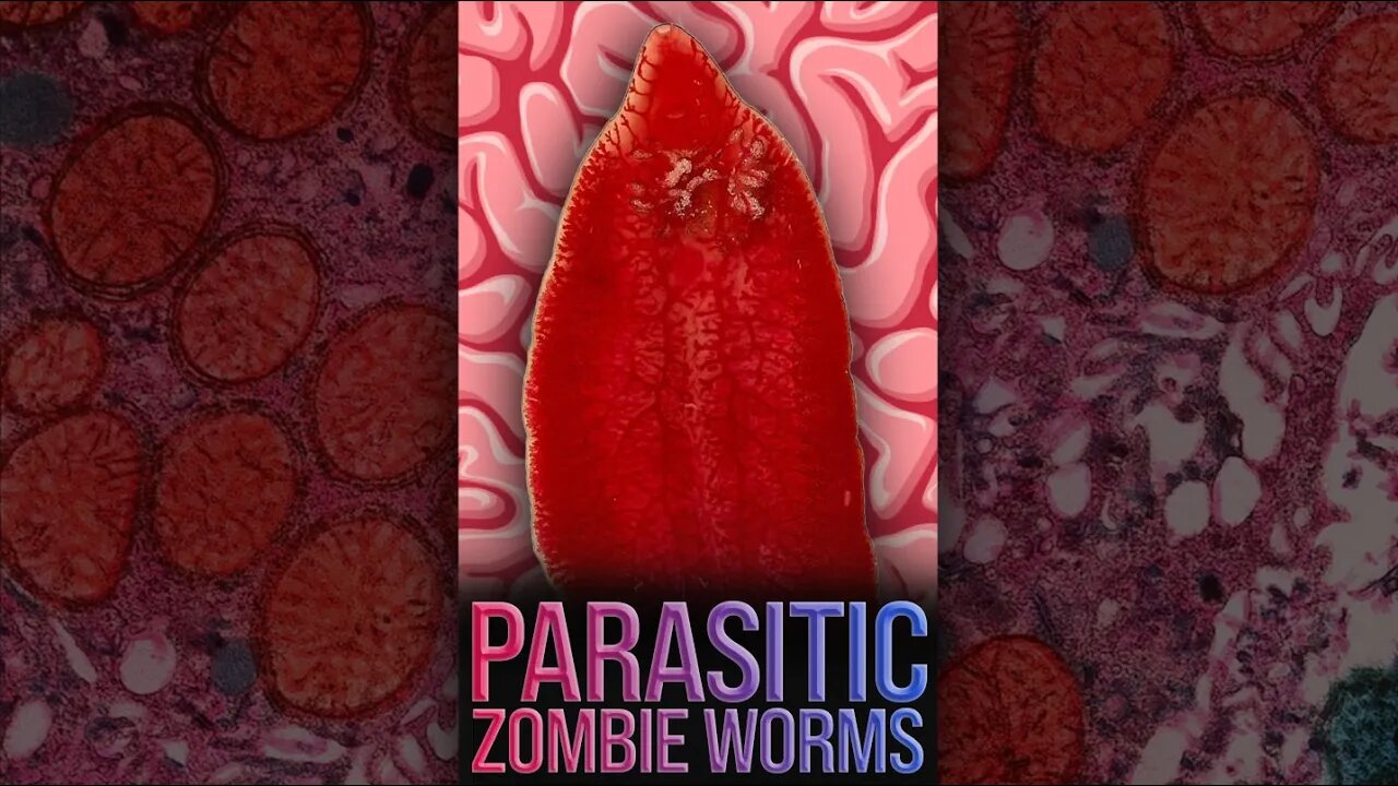 Zombie Parasite Worm 🧠 #shorts