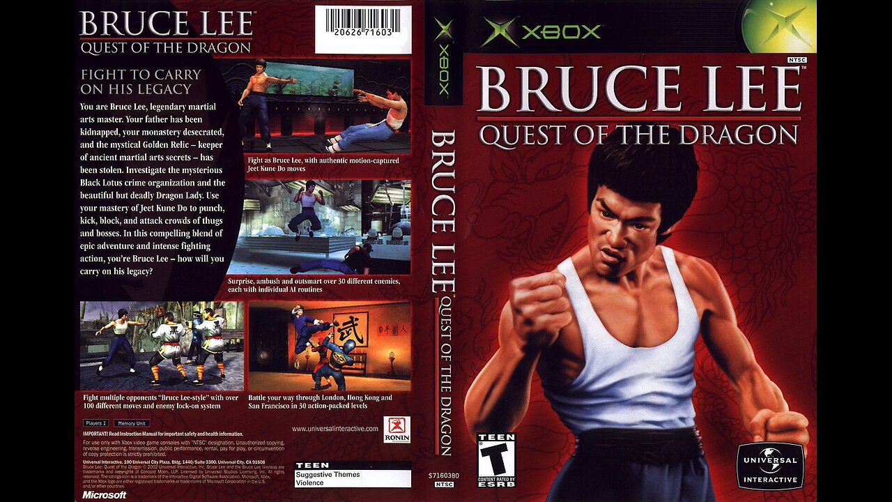 Bruce Lee game - Bruce Lee: Quest of the Dragon.