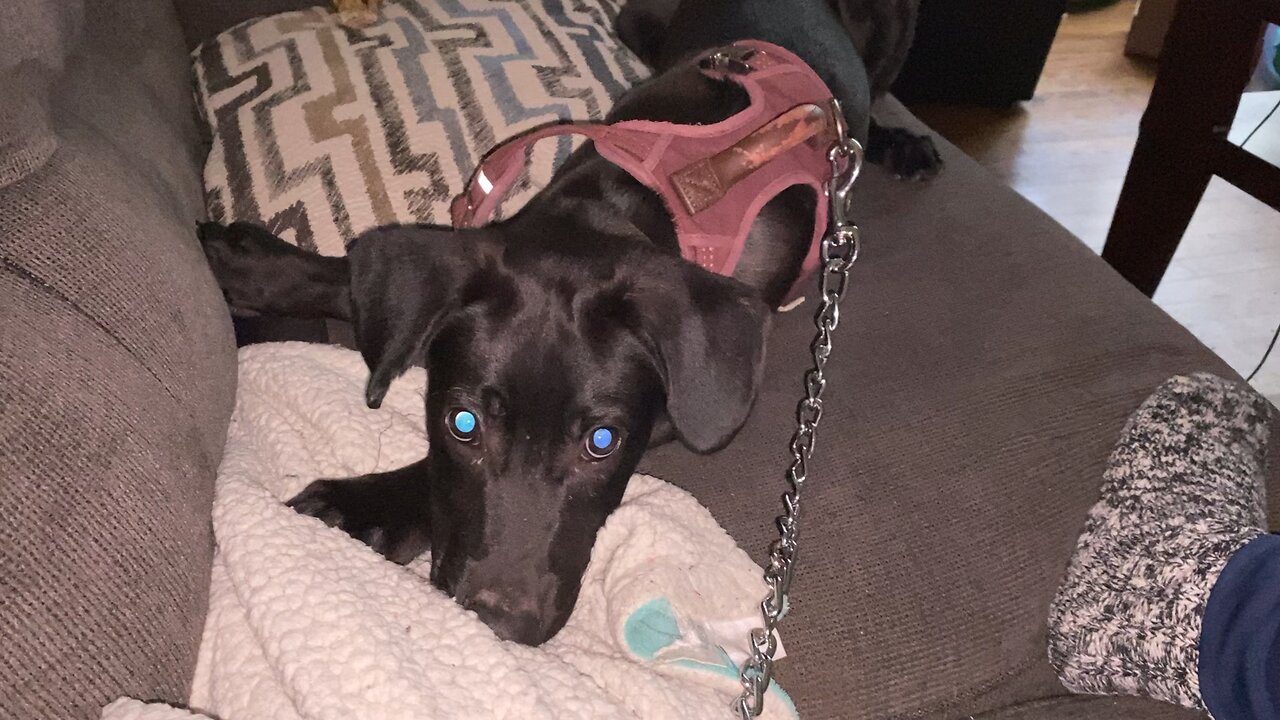 Midnight Is Sad ðŸ˜