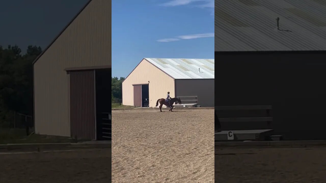 Miss Molly and Indy