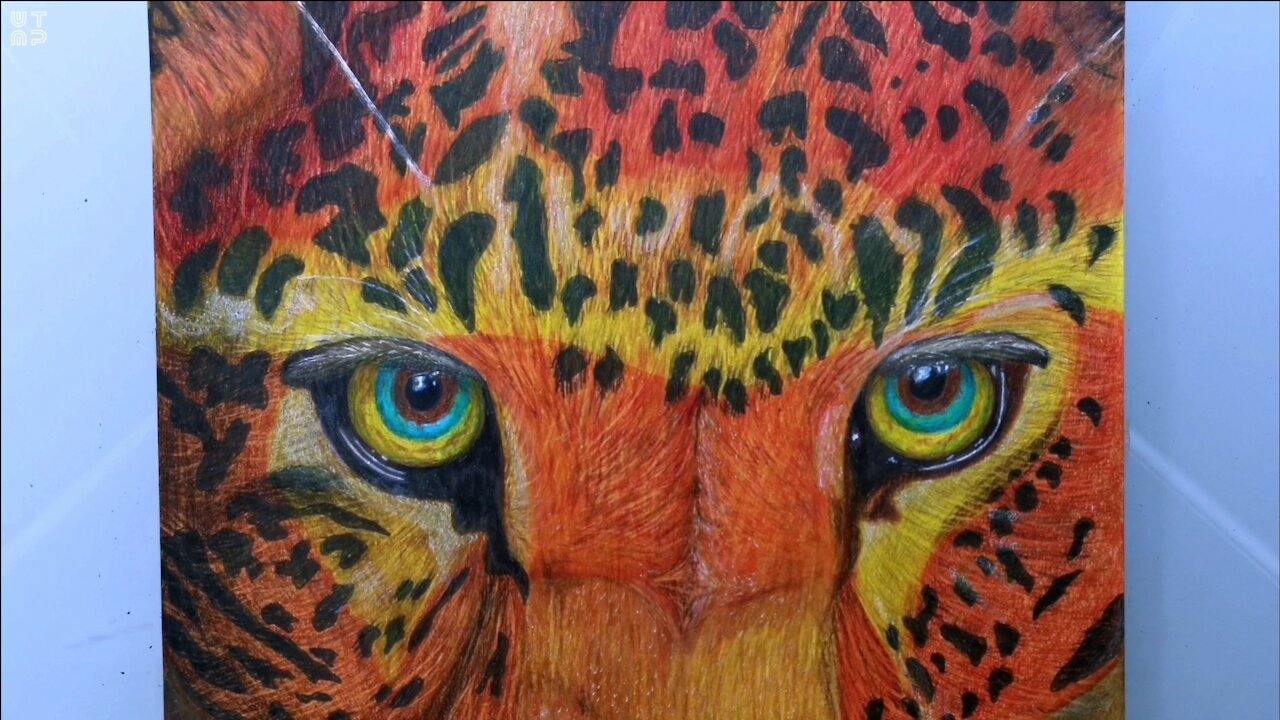 Drawing of a Magnificent Cat | The Leopard