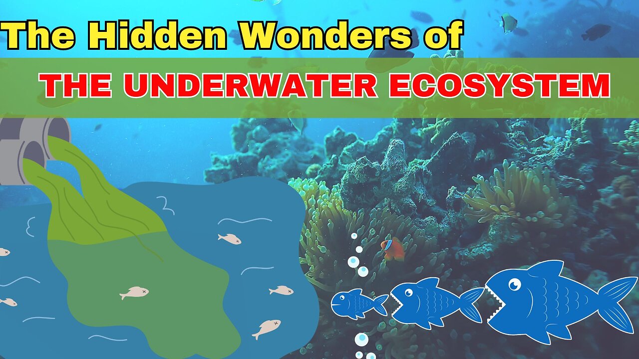 The Hidden Wonders of the Underwater Ecosystem