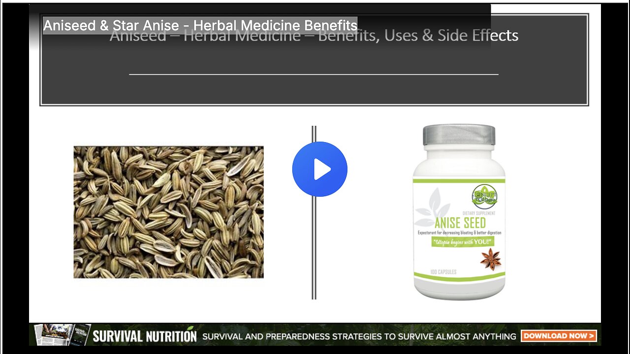 Aniseed & Star Anise - Herbal Medicine Benefits