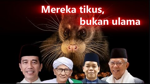 Why is Indonesia not an Islamic state? | Malay Subs |