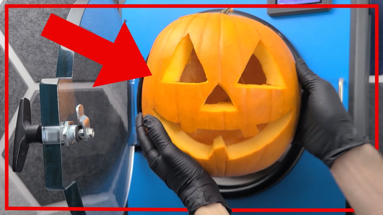 Freeze-drying Jim the Jack-0'-lantern