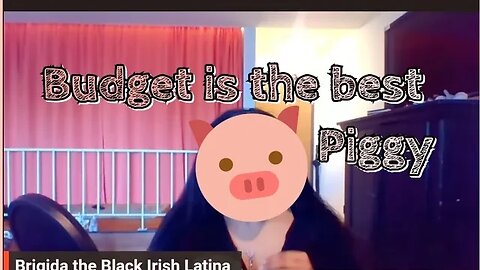 Budget is lying again! 😂🐷