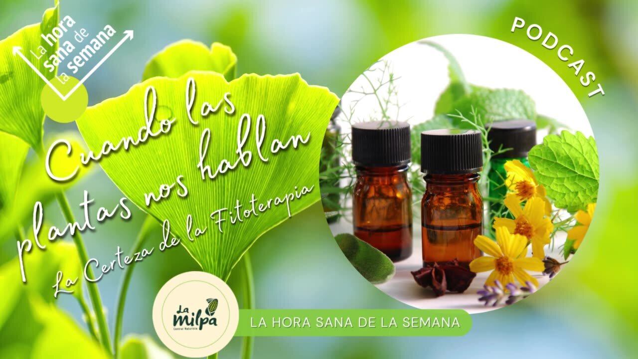 Cuando las plantas nos hablan, la certeza de la fitoterapia
