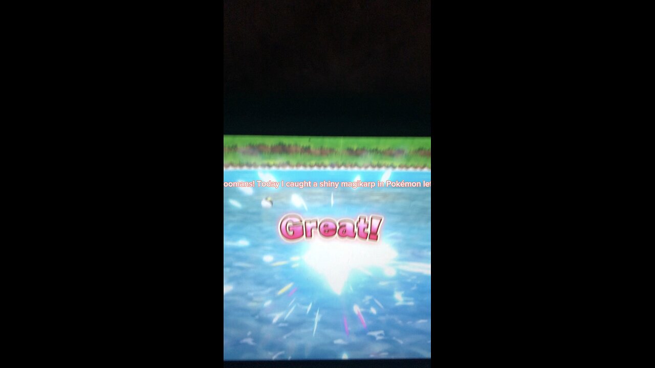 I caught a shiny (my first one ever)