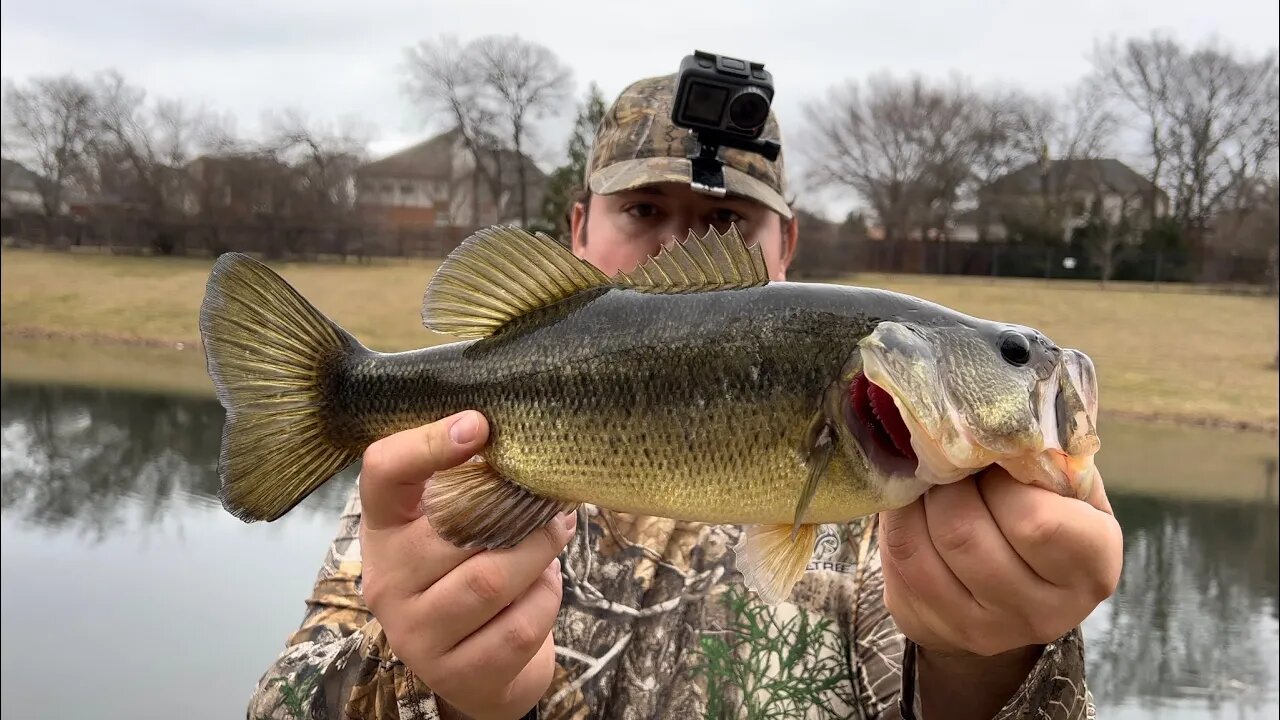 Cold Water Cranking