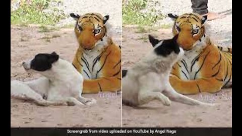 Fake Tiger vs Dog Prank