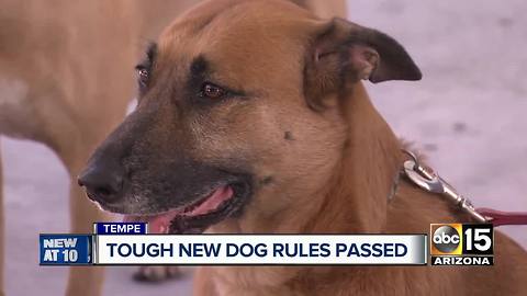 Tempe City Council approves new dog law