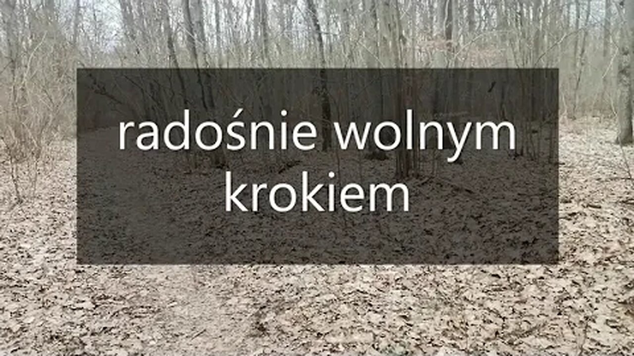 radośnie wolnym krokiem