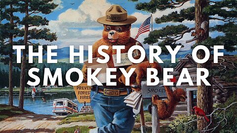 The History of Smokey Bear