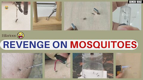 Hilarious Revenge on Mosquitoes | Funny DIY Mosquito Traps and Pranks Compilation