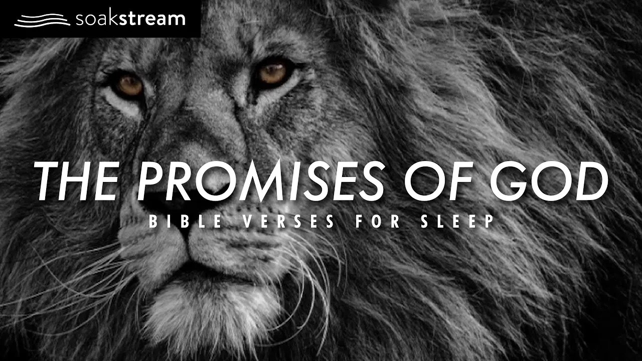 The Promises of God | Bible Verses For Sleep