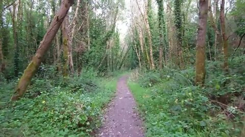 Lets go for a Walk... ASMR