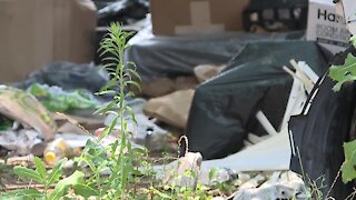 Mercedes Benz among the items piling up on Linden Heights Avenue