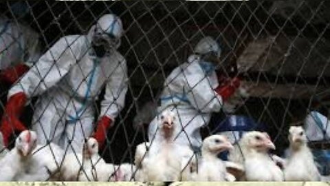 09/12/24 Seg 8 - BIrd Flu Hoax New Gov Meeting In Oct - What Will Be Discussed Scary