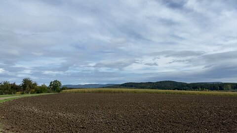 09.10.2024 Herbst
