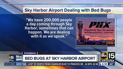 Sky Harbor Airport dealing with bed bugs