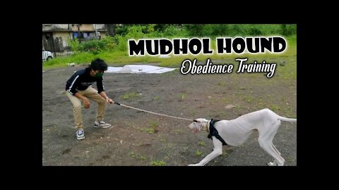 Best Dog Trainer in mulund Obedience Training