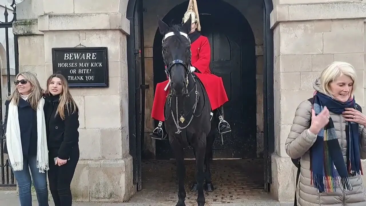 The Horse is thinking just a bit closer #horseguardsparade