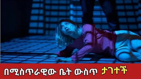 በድንገት ለምርምር የታገተችው ሴት||film||ትርጉም||Zena Addis #ethiopia