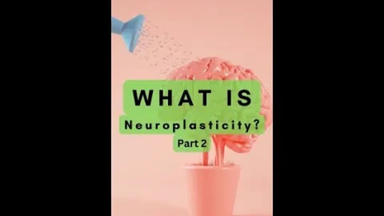 Neuroplasticity Pt.2